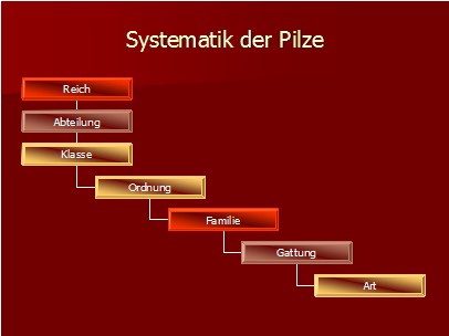 Systematik_1