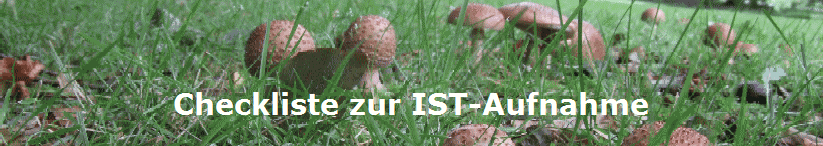 Checkliste zur IST-Aufnahme
