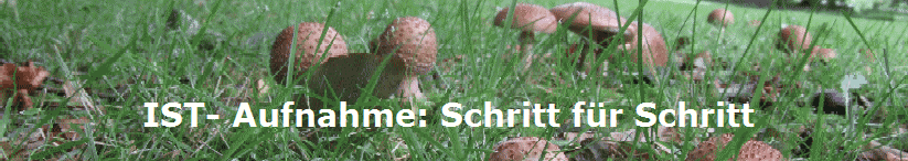 IST- Aufnahme: Schritt fr Schritt 