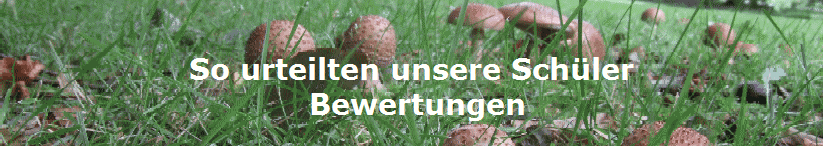 So urteilten unsere Schler
            Bewertungen